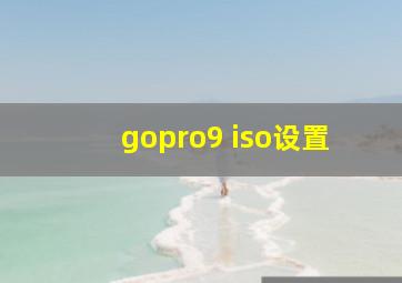 gopro9 iso设置